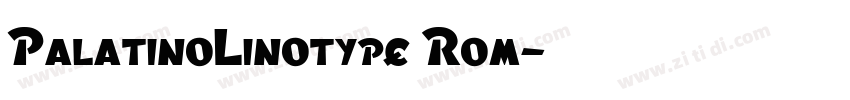 PalatinoLinotype Rom字体转换